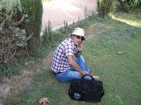 shiraz